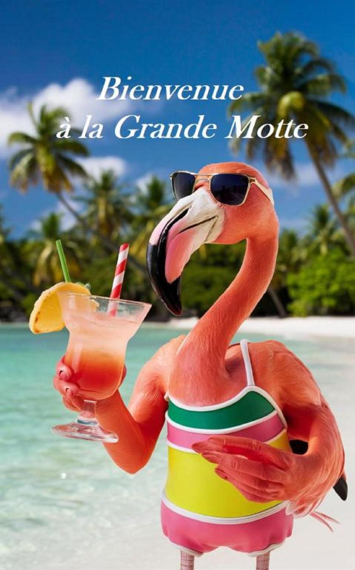 Mes Vacances A La Mer Studio 4 Pers, Parking Prive, Wifi, Linges Fournis, Climatisation La Grande Motte Exterior foto
